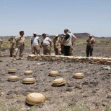 انتزاع 2773 لغم حوثي منذ بداية يونيو