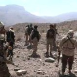 القوات المسلحة الجنوبية تحبط هجوم لمليشيات الحوثي شمالي الضالع