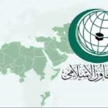 منظمة التعاون الإسلامي تدين العدوان الإرهابي الحوثي على ميناء الضبة