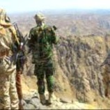 قائد محور يافع : القوات المسلحة الجنوبية تُكبد مليشيات الحوثي خسائر كبيرة
