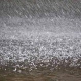 توقعات بسقوط أمطار على أرخبيل سقطرى غدا