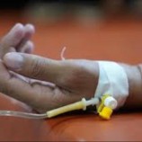 الصحة العالمية: 65% من اليمنيين يواجهون خطر الإصابة بالملاريا