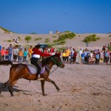 برعاية العميد عبداللطيف السيد .. سباق الخيول يعود الى أبين بعد توقفه لعقود