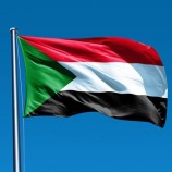 وزير الخارجية المصري: يجب العودة للحوار السياسي في السودان