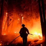 مصرع 14 شخصًا في حرائق غابات بكازاخستان