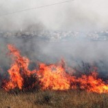 وفاة وإصابات في حرائق عدة بإسرائيل