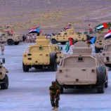 إنجازات القوات الجنوبية في محاربة الإرهاب والدور الإماراتي