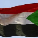 سفارة السودان في موسكو: البرهان سيترأس وفد البلاد إلى قمة روسيا – إفريقيا