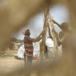 الجيش السوداني يتهم الدعم السريع بقتل 14 مدنيا جنوبي الخرطوم