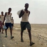 الأمم المتحدة والاتحاد الأوروبي: تقرير مقتل اثيوبيين برصاص الجيش السعودي اتهام بالغ الخطورة