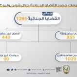 1029 متهما في قبضة الشرطة على ذمة قضايا جنائية خلال يوليو الماضي