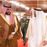 رئيس الإمارات: لقاء ولي العهد السعودي مع «فوكس نيوز» يعكس نظرة متزنة لقضايا المنطقة