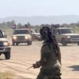 قوات دفاع شبوة تُطلق حملة عسكرية لملاحقه العناصر الإرهابية بالمصينعة
