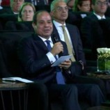 الرئيس المصري: الدول الناشئة تحتاج لتمويل منخفض التكلفة