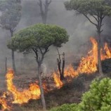 لليوم الثاني على التوالي.. لبنان يواجه الحرائق المتنقلة