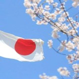 اليابان تقدم ٣ ملايين دولار لتشجيع عملية السلام في اليمن
