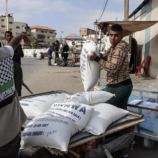 الأونروا: ينبغي تقديم مساعدات ذات معنى إلى قطاع غزة ﻿