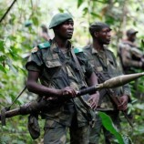 مقتل 200 عنصر إرهابي بالكونغو الديمقراطية