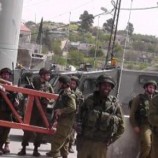 الجيش الإسرائيلي يعتقل عددا من الفلسطينيين بمخيم الجلزون