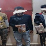 القبض على 5 متهمين بحيازة الحشيش في زنجبار