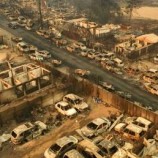 حرائق الغابات تخلّف عشرات القتلى في تشيلي (فيديو)