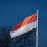 منتجو الألبان في مصر يحذرون من أزمة كبرى في البلاد