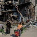 تشاباغين: خطر الجوع في غزة يتزايد يوما بعد يوم