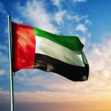 الإمارات تعرب عن القلق البالغ إزاء التطورات التي تشهدها المنطقة
