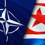 “وثيقة غير شرعية”.. كوريا الشمالية تدين بشدة بيان قمة “الناتو” في واشنطن