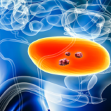 علاقة مفاجئة بين ميكروبات الأمعاء وسرطان المثانة