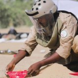 مسام ينتزع 714 لغمًا بالأسبوع الأول من الشهر الجاري