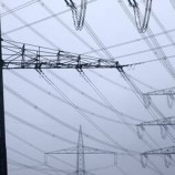 رئيس ليتوانيا يعلن قطع الصلة مع شبكة الكهرباء الروسية البيلاروسية المشتركة