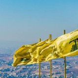 نائب عن “حزب الله”: على أيّ أساس تُمنع الطائرة الإيرانية من الهبوط؟