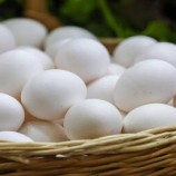 تركيا تساعد الولايات المتحدة على تجاوز الأزمة