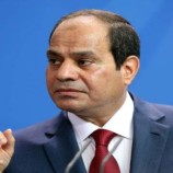 السيسي: إقامة دولة فلسطينية الضمانة الوحيدة لتحقيق السلام الدائم