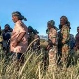 تصاعد المخاوف من تجدد النزاع في إقليم تيغراي الإثيوبي