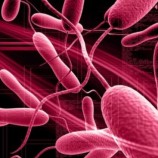 رصد أول إصابة مؤكدة بالكوليرا في ناميبيا منذ عقد