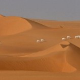 الجيش يعلن انقاذ 50 مهاجرا عالقين في شمال النيجر الصحراوي