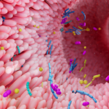 دور ميكروبيوم الأمعاء في الحد من تطور السكري