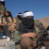 باكستان تدعو الأمم المتحدة لمنع وصول الأسلحة إلى الجماعات الإرهابية