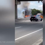 مشاهد من مكان تحطم طائرة صغيرة كانت تقل 3 أشخاص في فلوريدا