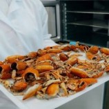 روسيا.. تطوير تقنية لتحويل قشور سرطانات النهر إلى بوليمرات حيوية