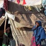 100 ألف أفغاني اضطروا لمغادرة باكستان
