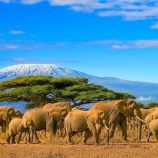 الجسر القاري.. كيف غيّر اتصال آسيا وإفريقيا مسار التطور البشري؟!