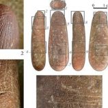 اكتشاف تمثال من العصر الحجري المتوسط في أذربيجان عمره 9000 عام