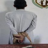 قوات دفاع شبوة تضبط مروجاً بحوزته كميات من الحشيش والشبو