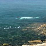 حضرموت.. انقلاب سيارة إلى البحر في المكلا