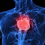 دواء جديد لعلاج قصور القلب