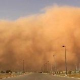 مصر.. بيان رسمي بعد فيديو حادث مرعب بالمنوفية