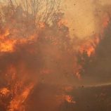 جهود متواصلة في إسرائيل للسيطرة على الحرائق